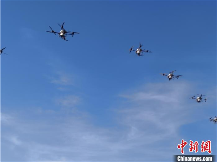 1698721011262493.png a68a3b0475387f67fe7f960934b1b8e.png