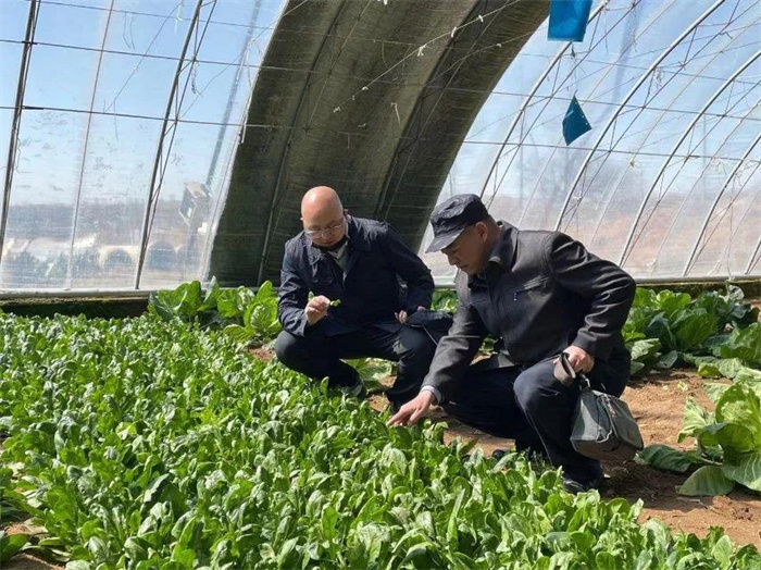 1700036784919546.jpg 640 (7).jpg