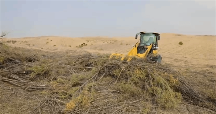 1700036974997691.png 640 (2).png