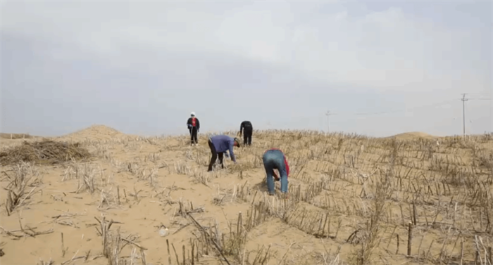 1700036992129951.png 640 (3).png