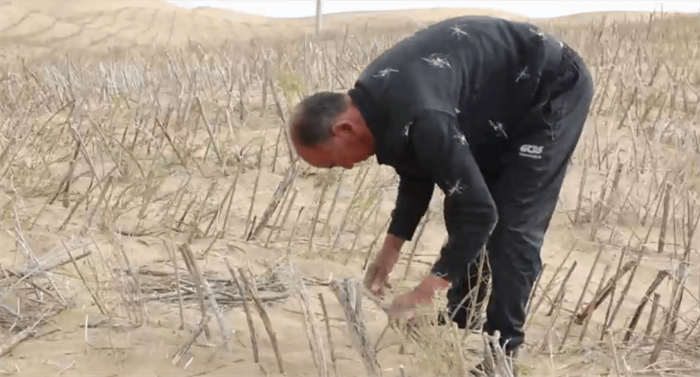 1700036997163047.png 640 (4).png