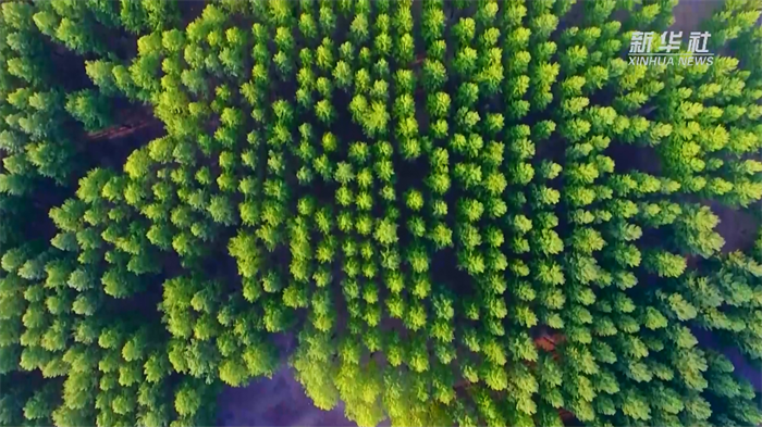 1701313565433889.png 640 (4).png